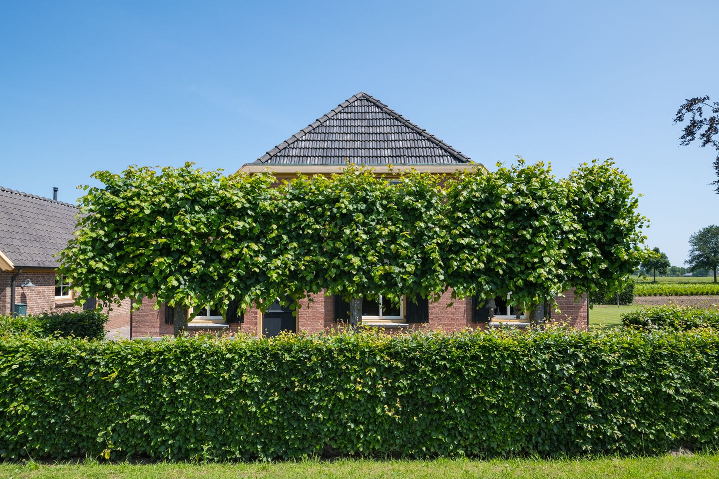 Photo 14 of Uilenesterstraat 16