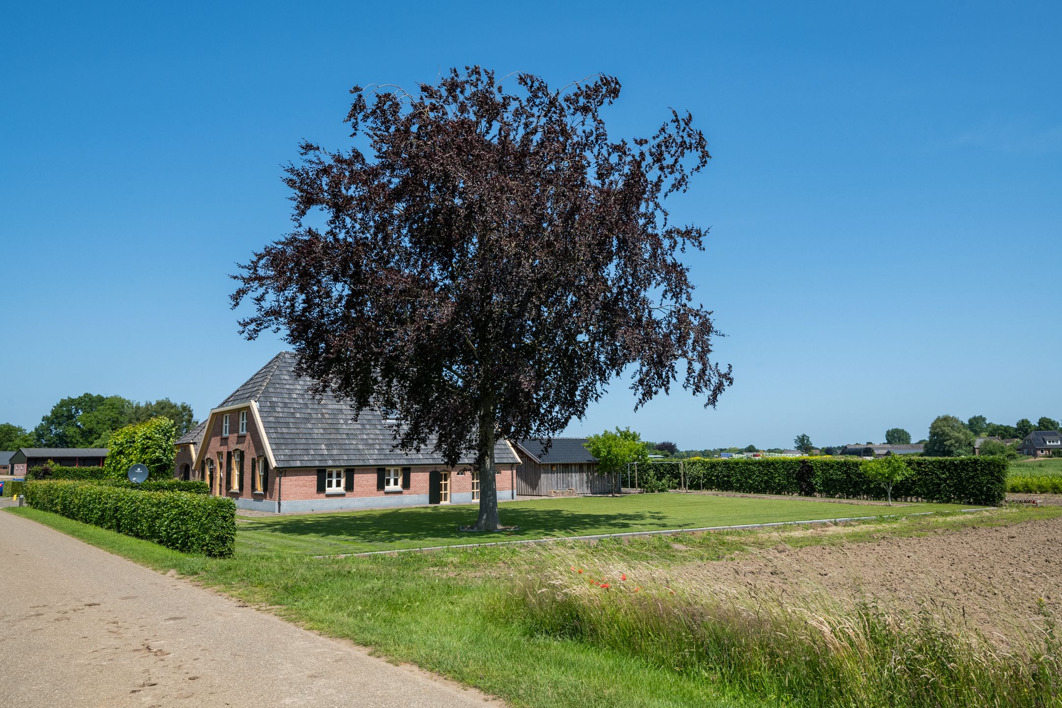 Photo 15 of Uilenesterstraat 16