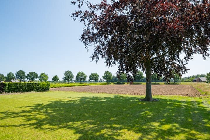 Foto 2 van Uilenesterstraat 16