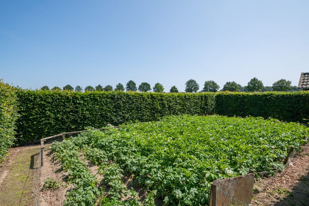 Photo 38 of Uilenesterstraat 16