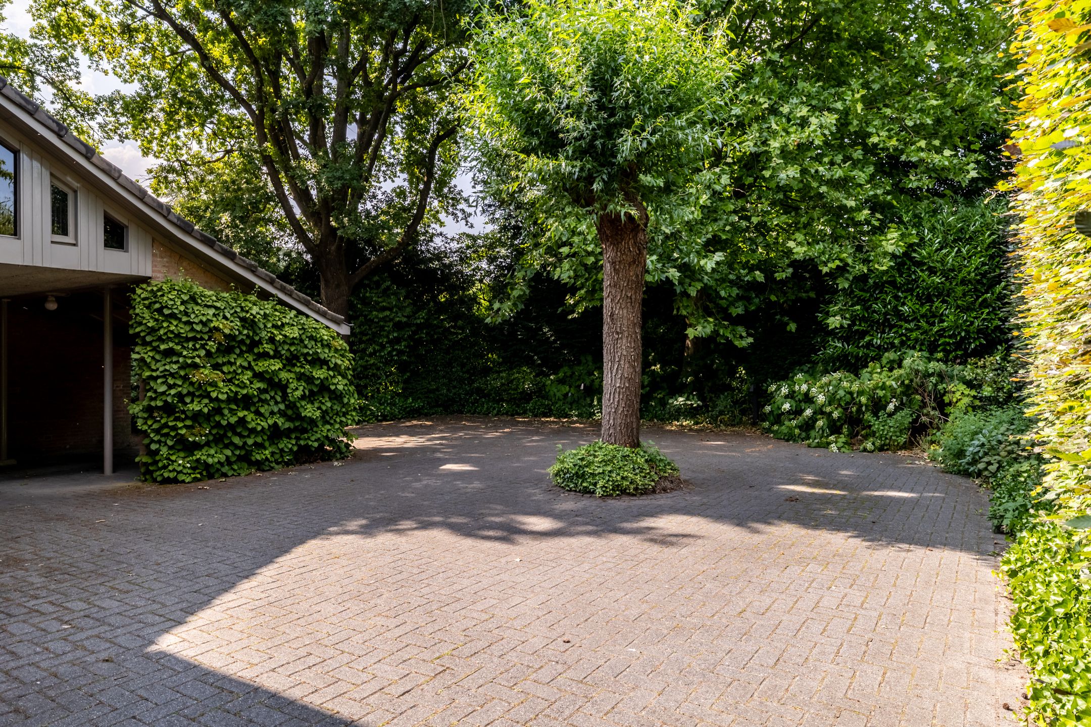 Photo 9 of Haydnlaan 8
