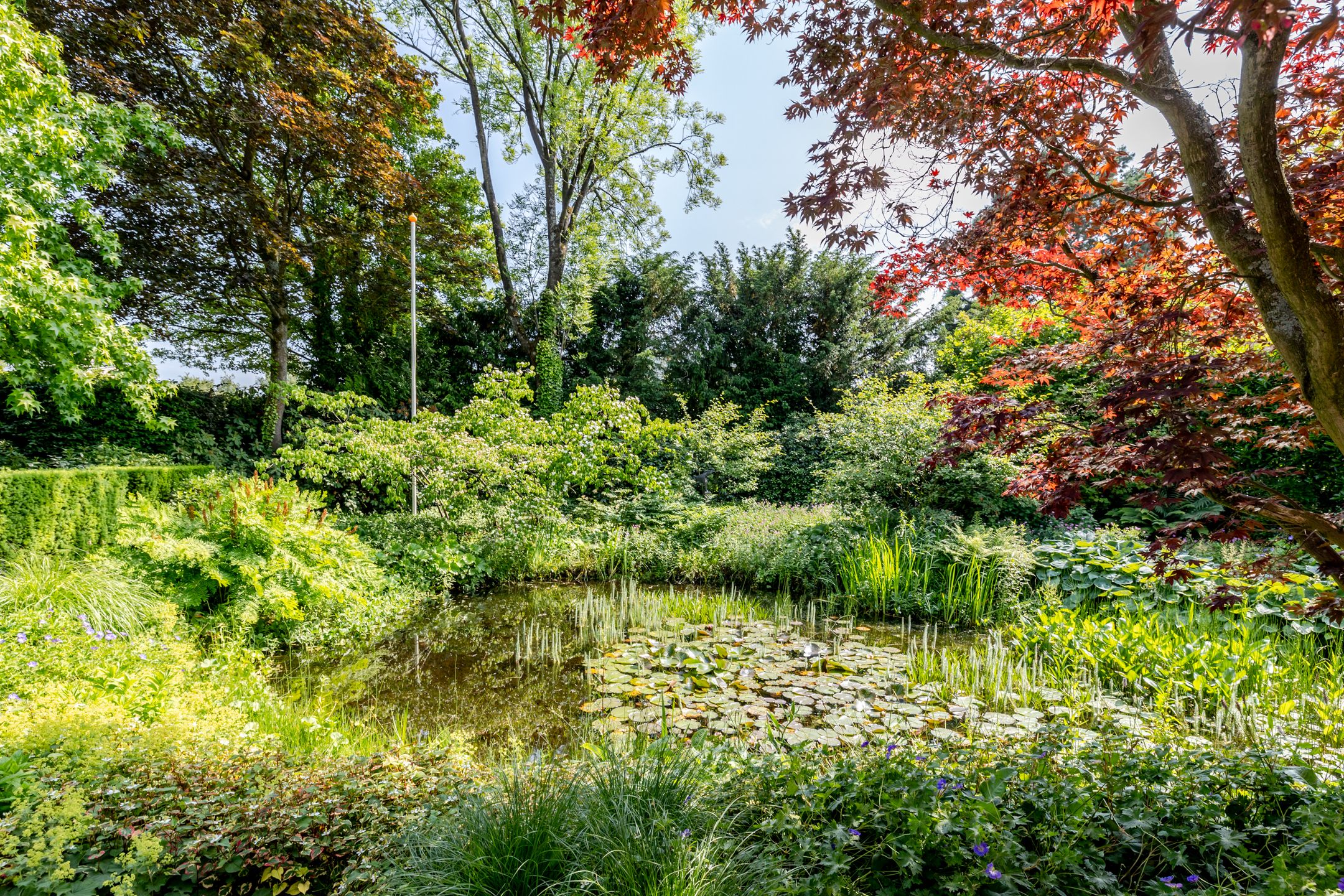Photo 42 of Haydnlaan 8