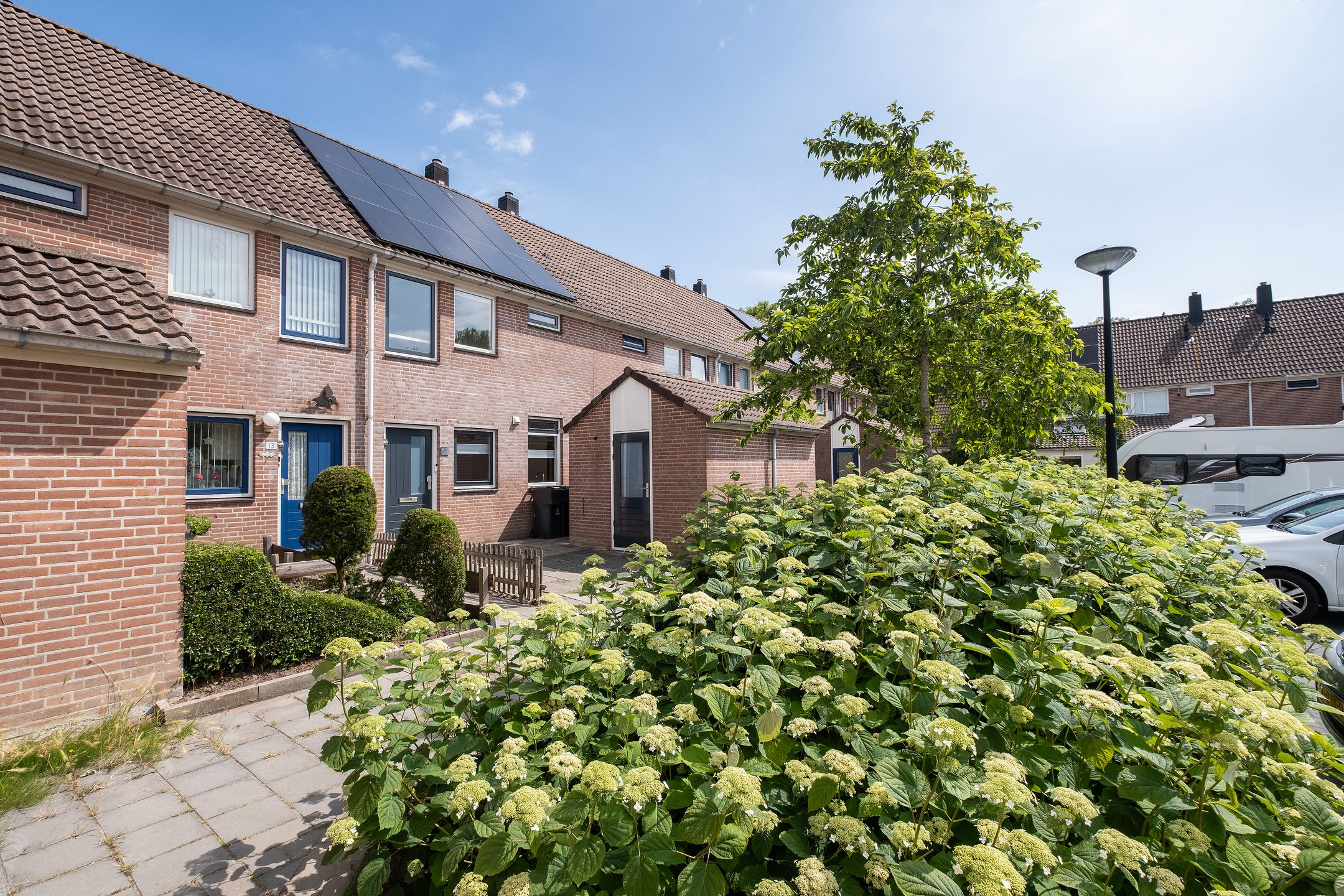 Foto 33 van Dinkel 15