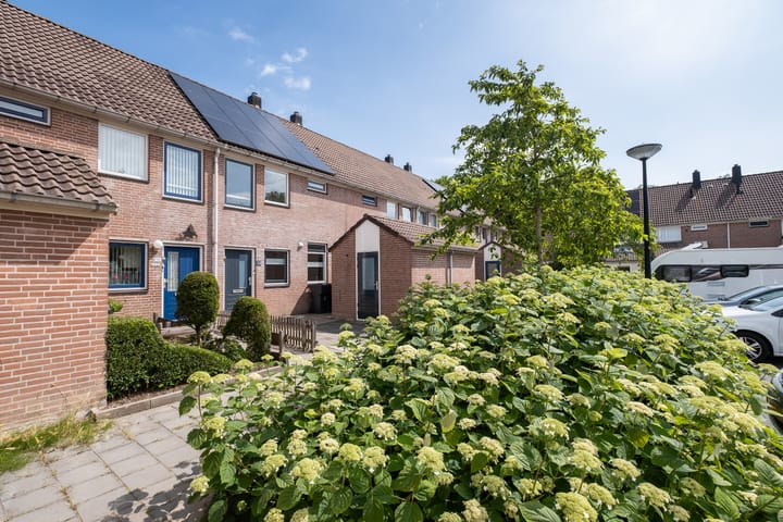 Foto 33 van Dinkel 15