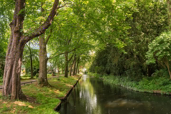 Foto 47 van Piersonstraat 57