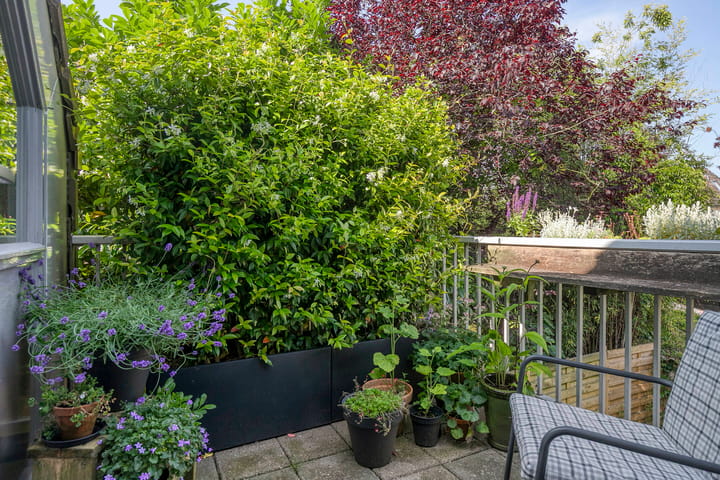 Foto 5 van Scheltemalaan 79