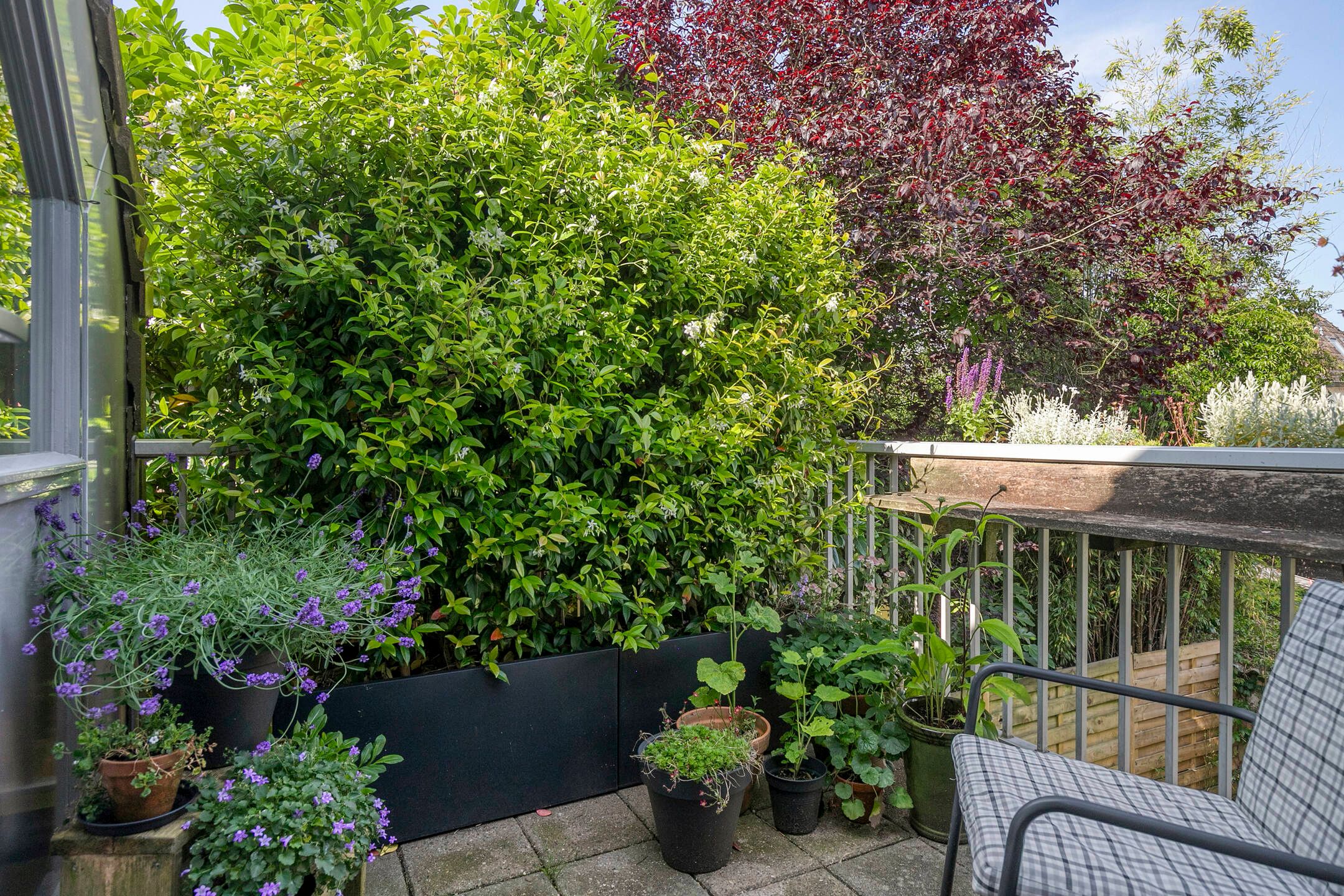 Foto 15 van Scheltemalaan 79