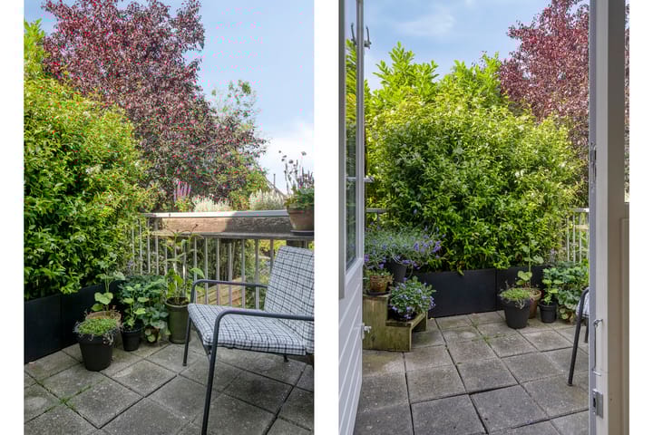 Foto 16 van Scheltemalaan 79