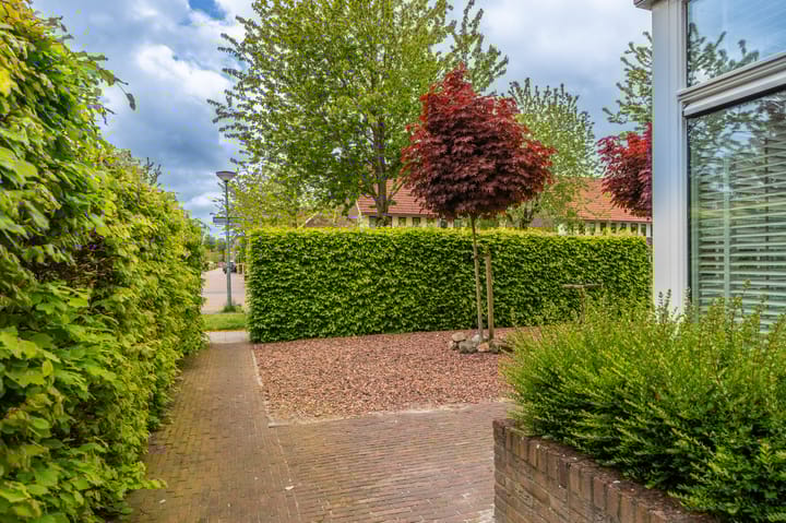 Foto 42 van Boomgaard 56