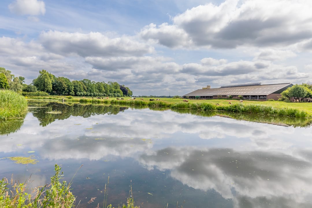 Photo 61 of Bongersstraat 239-B