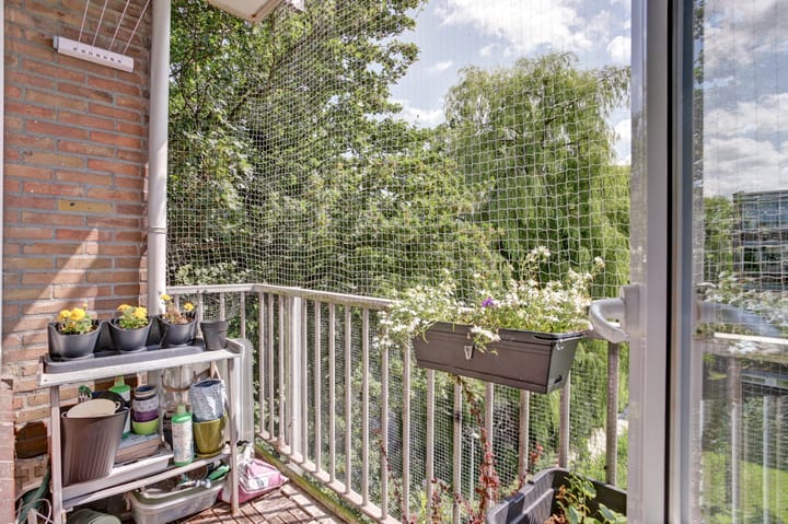 Foto 27 van Reigerstraat 23