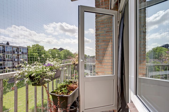 Foto 28 van Reigerstraat 23