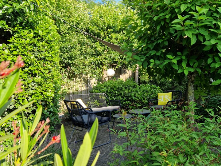 Foto 2 van Dissel 60