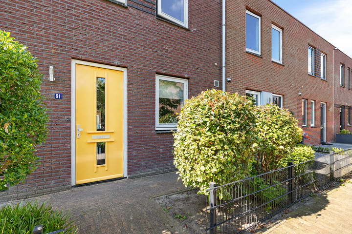 Foto 2 van Citroenvlinder 51