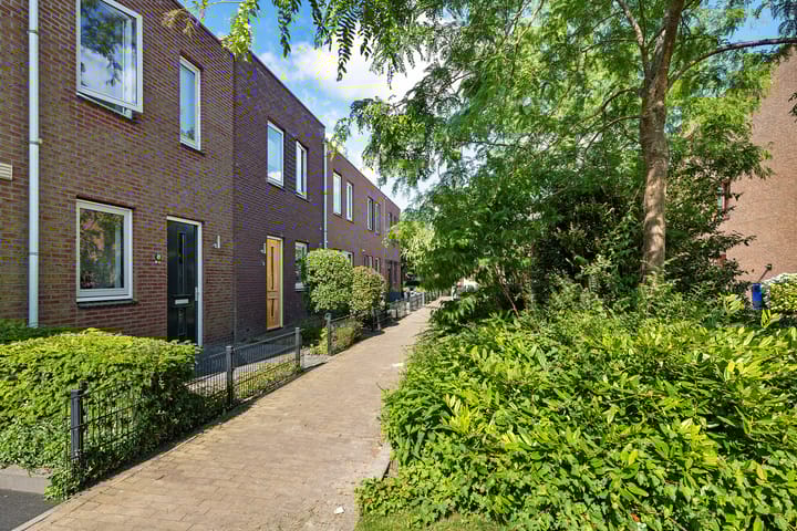 Foto 3 van Citroenvlinder 51