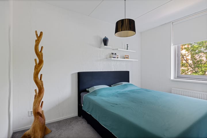 Foto 29 van Citroenvlinder 51