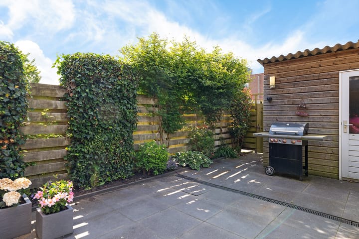 Foto 33 van Citroenvlinder 51