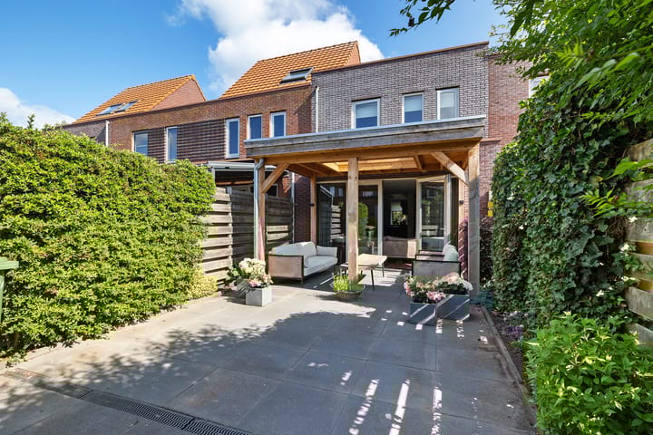 Foto 34 van Citroenvlinder 51