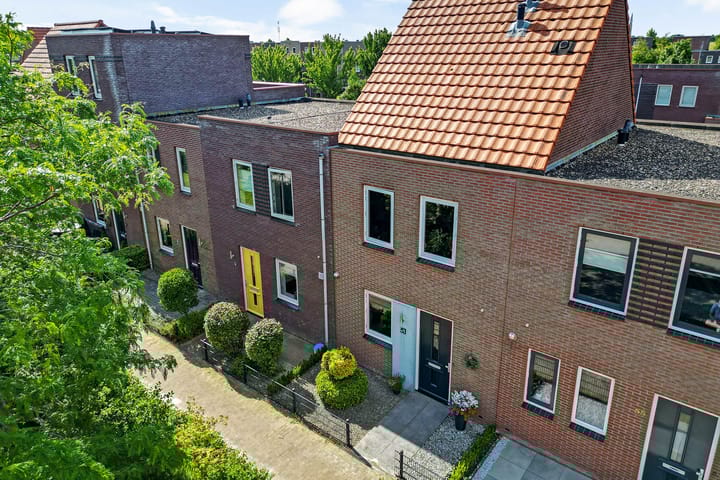 Foto 36 van Citroenvlinder 51