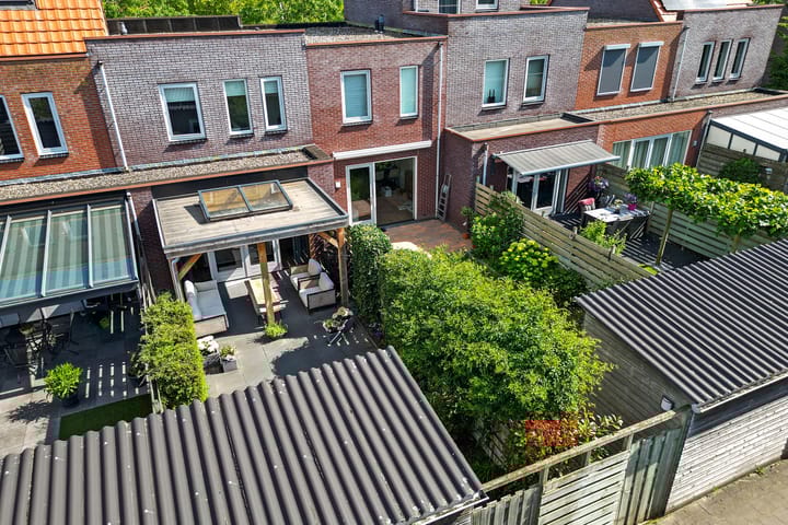 Foto 38 van Citroenvlinder 51