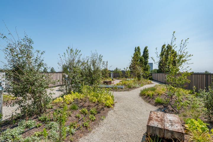 Foto 16 van Isaac Titsinghkade 4-E