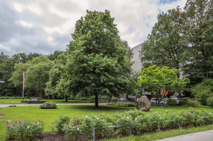 Photo 47 of Laan van de Eekharst 6