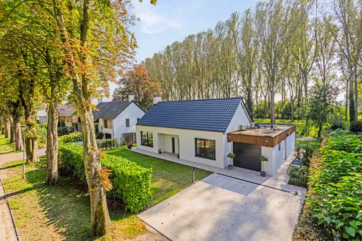 Wandeldreef 12 main image