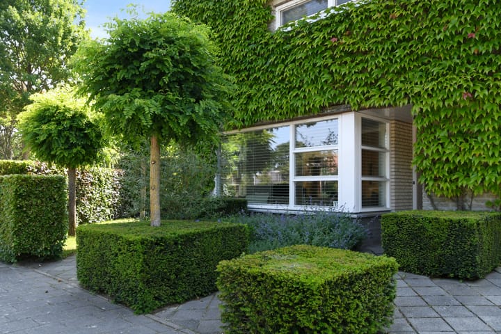 Foto 6 van Johan Mekkinkstraat 12