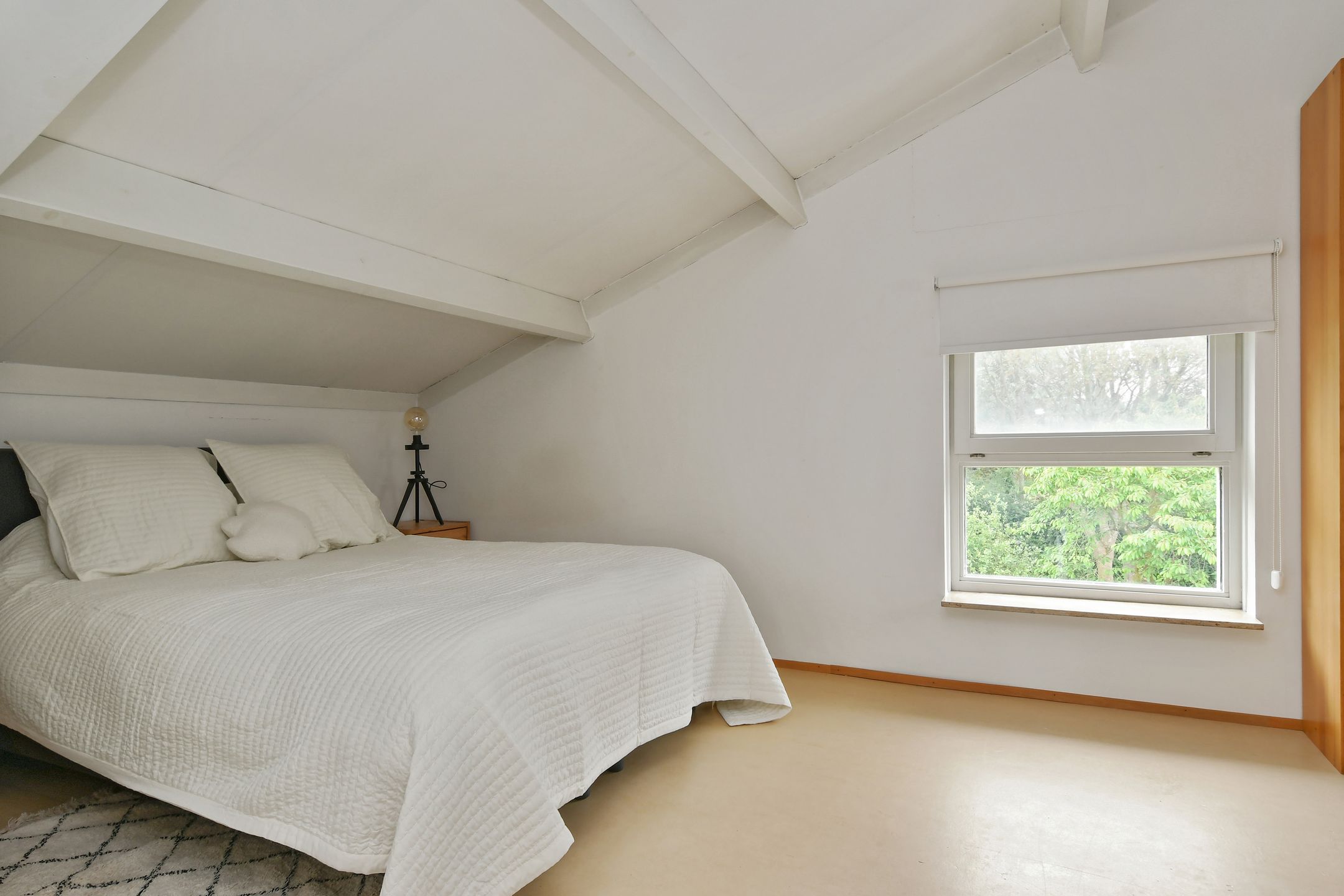 Foto 36 van Johan Mekkinkstraat 12