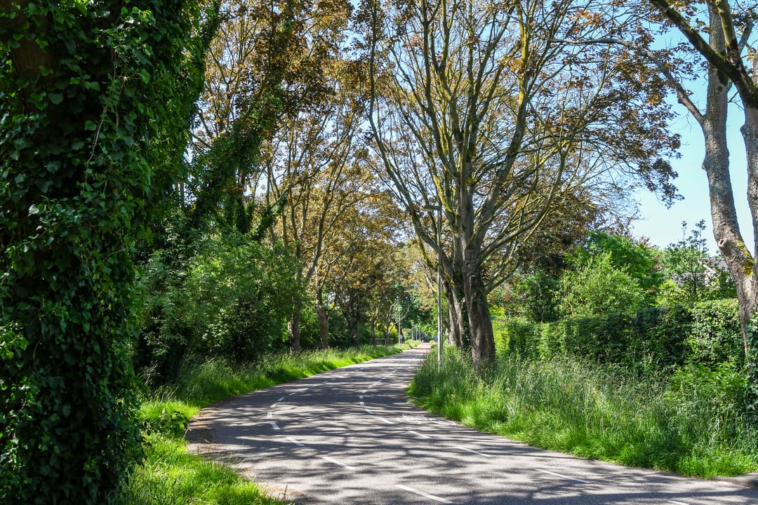 Foto 56 van Johan Mekkinkstraat 12