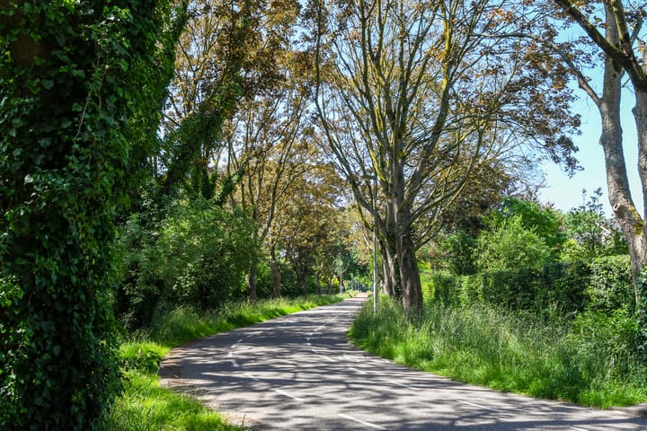 Foto 56 van Johan Mekkinkstraat 12