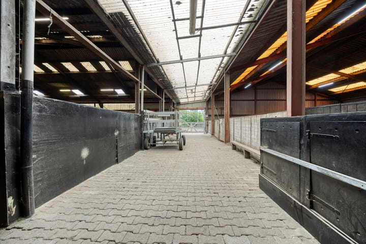 Foto 40 van Bellendreef 4