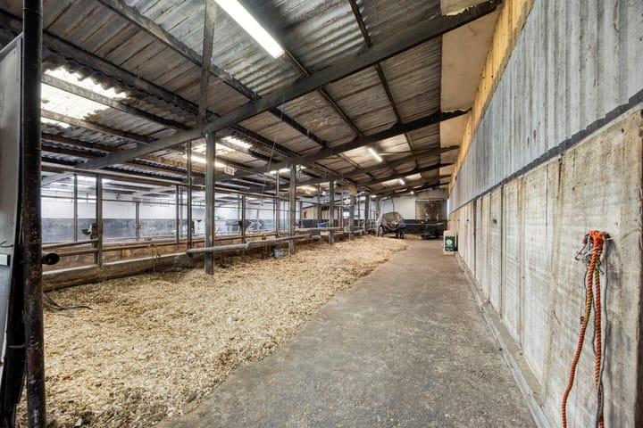 Foto 41 van Bellendreef 4