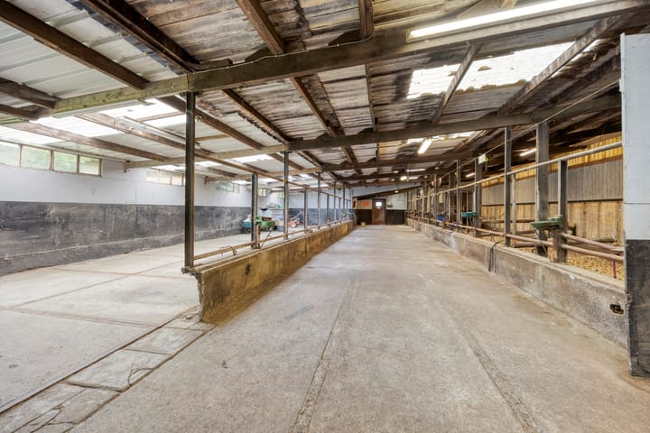 Foto 42 van Bellendreef 4