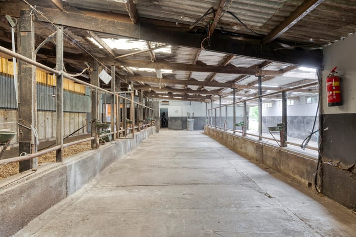 Foto 43 van Bellendreef 4