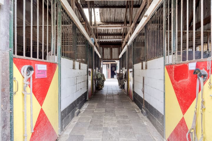 Foto 49 van Bellendreef 4