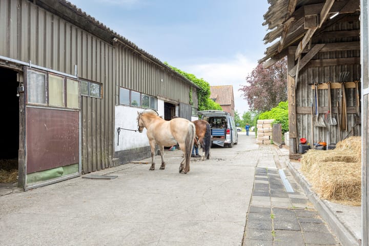 Foto 50 van Bellendreef 4