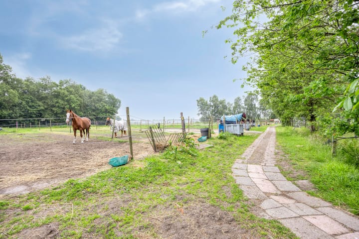 Foto 57 van Bellendreef 4