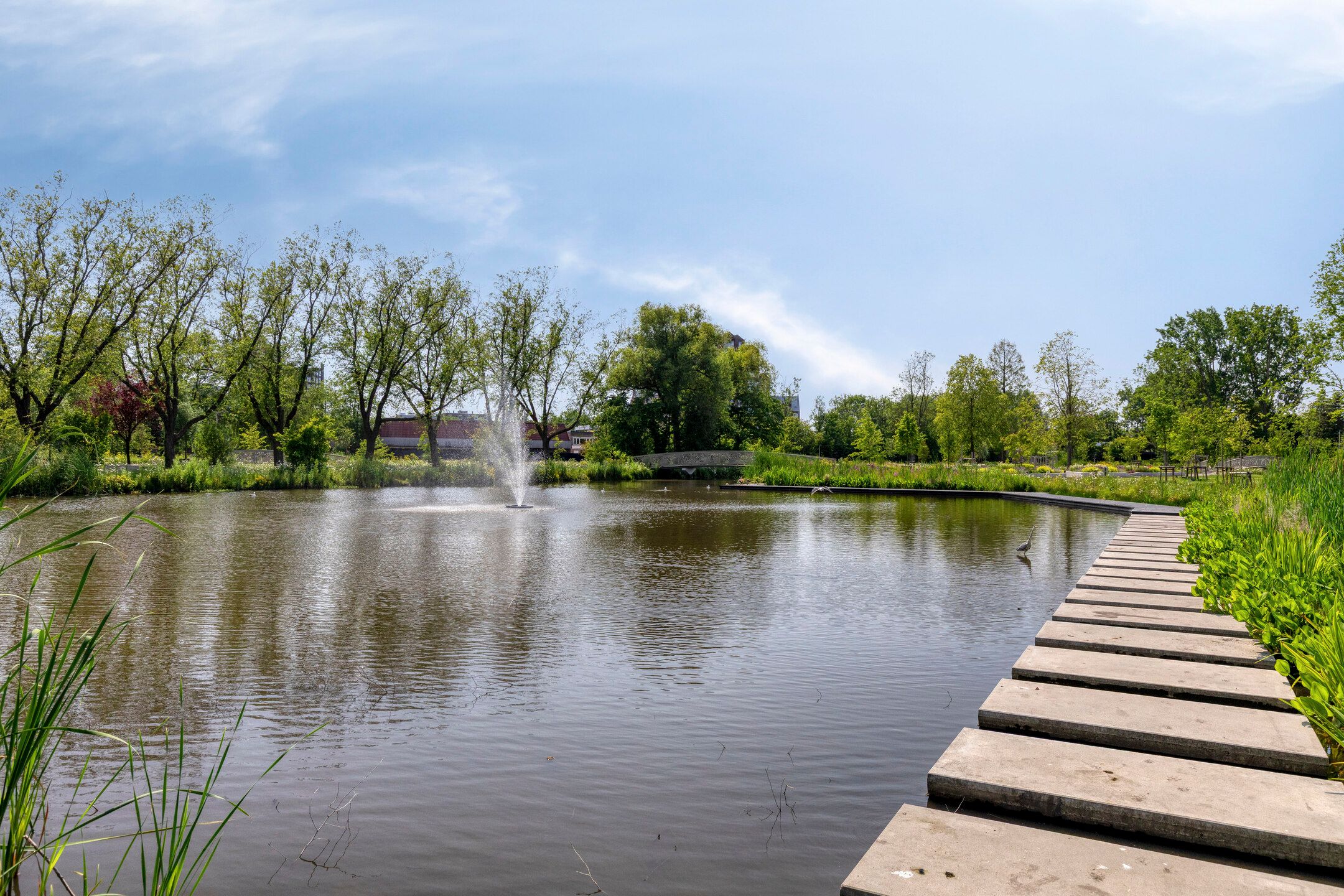 Foto 33 van Johanna Naberstraat 43