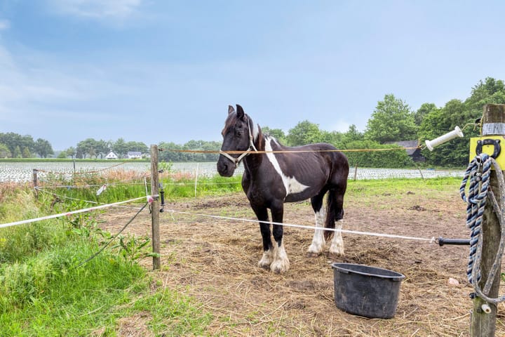 Foto 58 van Bellendreef 4