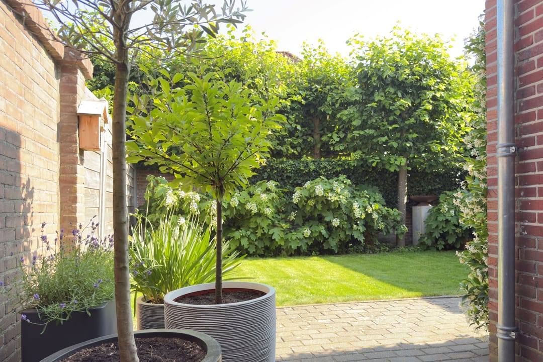 Photo 37 of Dillenburgstraat 18