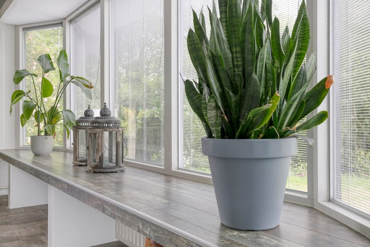 Foto 10 van Otweg 19