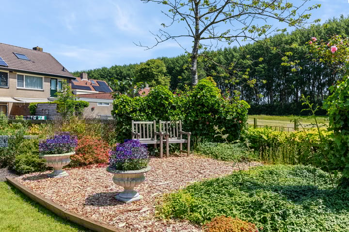 Photo 35 of Meseame 58