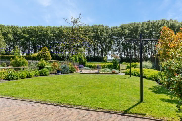 Photo 36 of Meseame 58