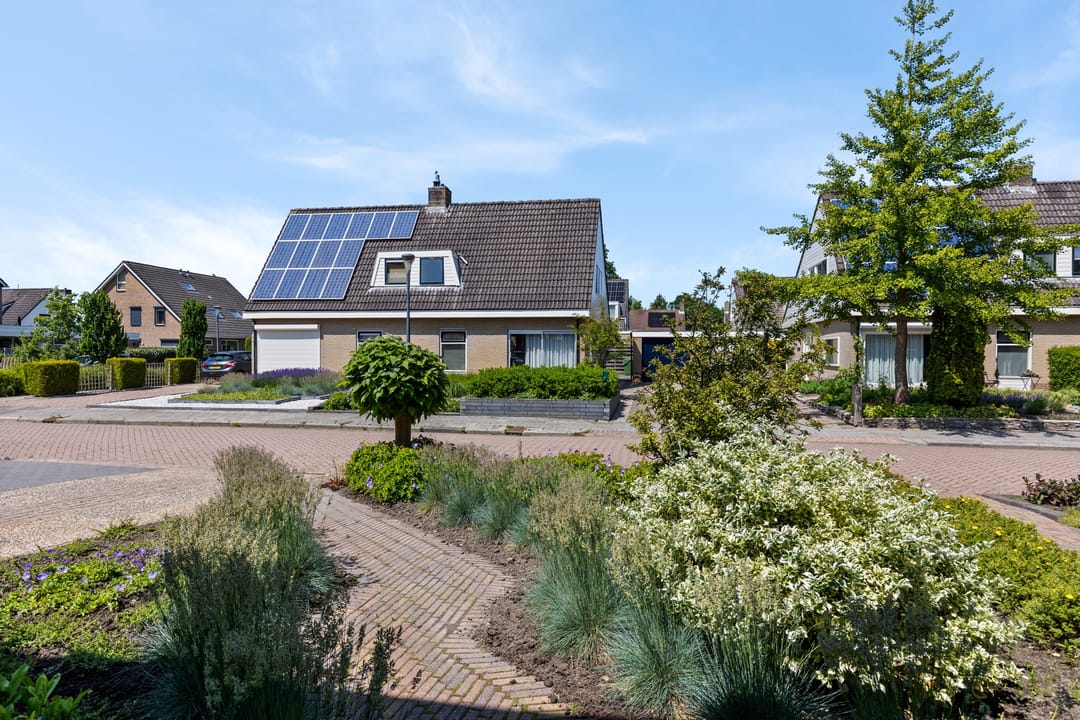 Foto 47 van Meseame 58