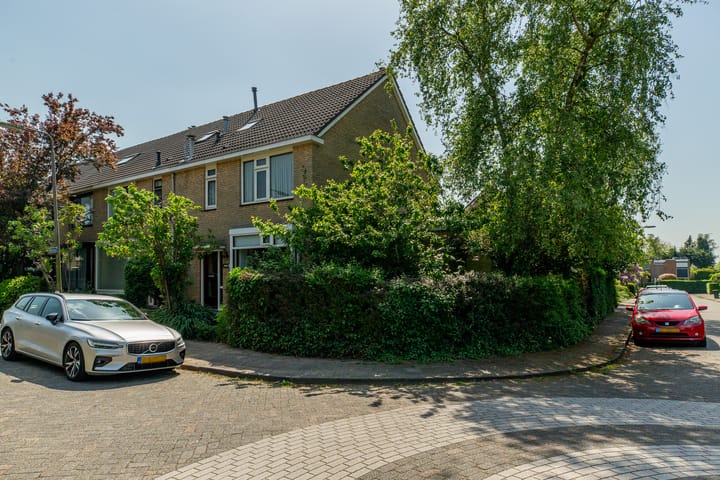 Foto 1 van Ratelaar 1