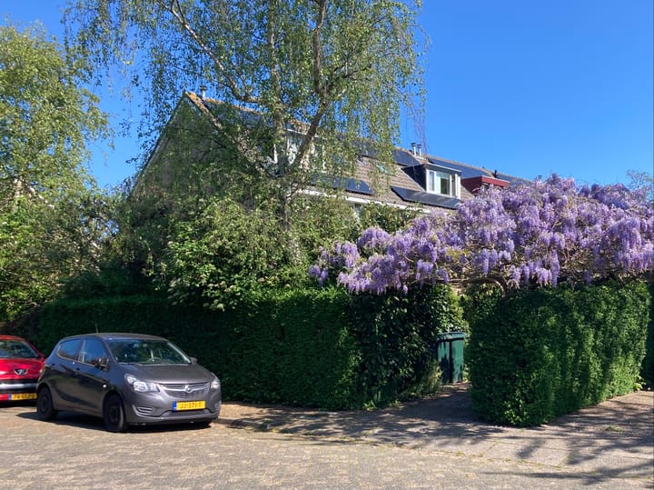 Foto 2 van Ratelaar 1