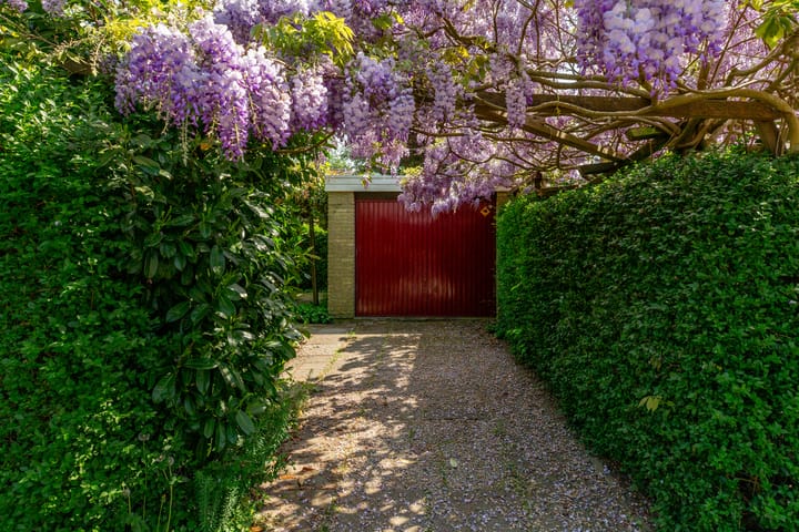 Foto 4 van Ratelaar 1