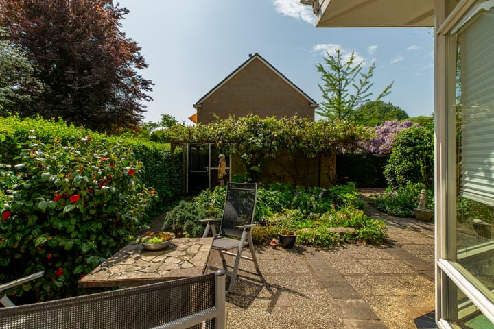 Foto 14 van Ratelaar 1