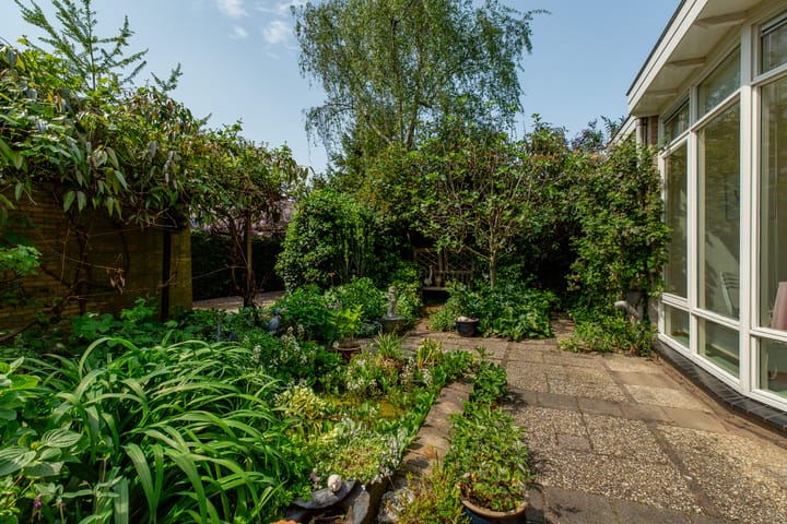 Foto 15 van Ratelaar 1